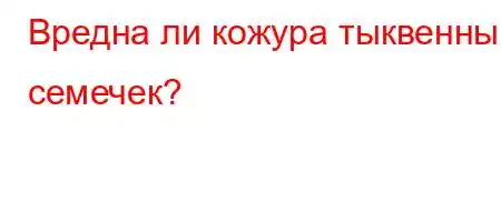 Вредна ли кожура тыквенных семечек?